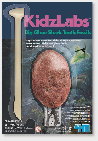 4m stem 4M - KIDZLABS - SHARK TOOTH FOSSIL